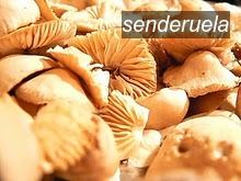 senderuela1