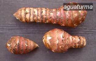 aguaturma0 aguaturma0