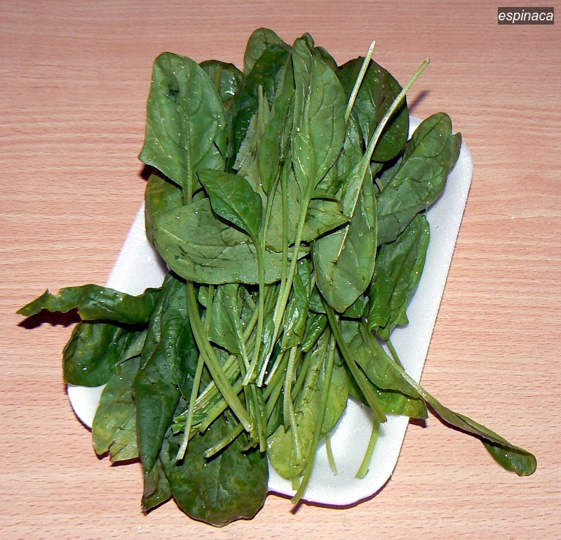 espinaca1 espinaca1
