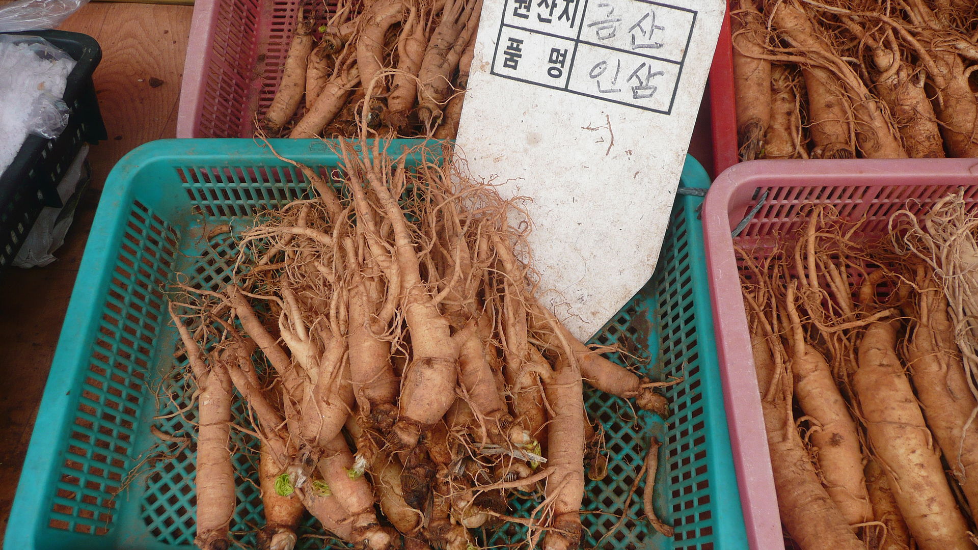 ginseng 03