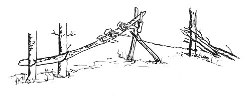 arco 0003