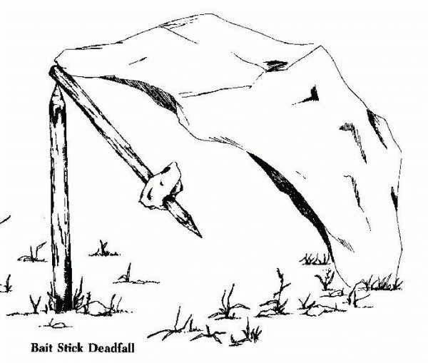 dead fall 0002