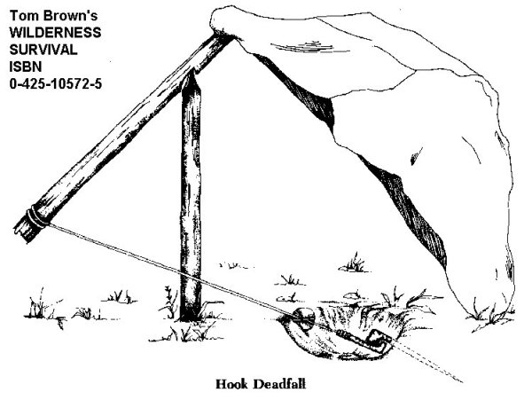 dead fall 0004