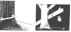 dead fall 0028