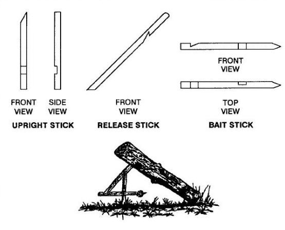 fig four 0001