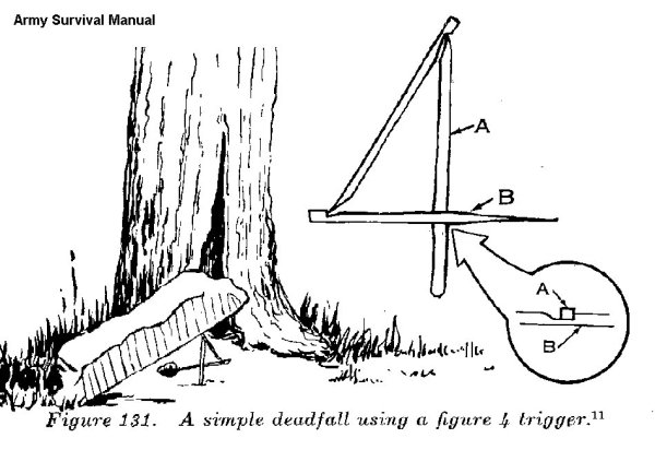 fig four 0005