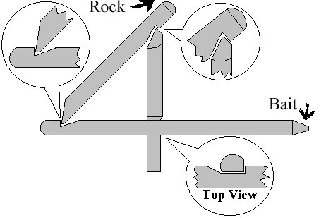fig four 0006