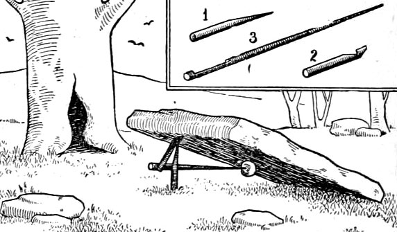 fig four 0007