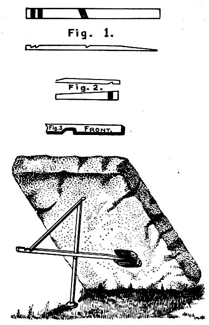 fig four 0008