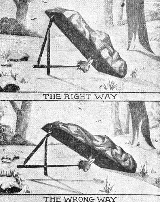 fig four 0012