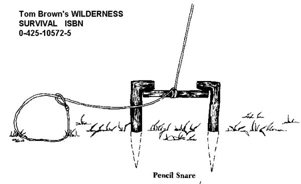 snare 0023