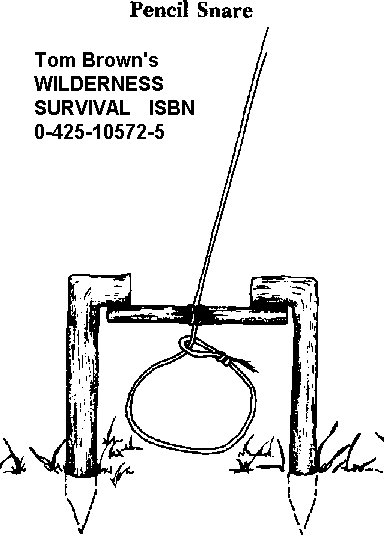 snare 0024