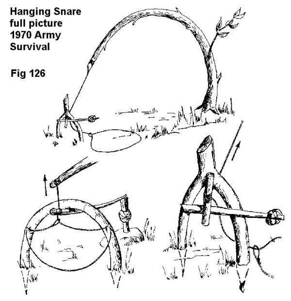 snare 0034