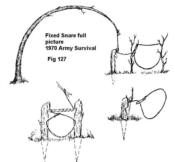 snare 0035