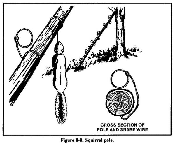 snare 0036