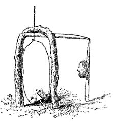 snare 0039