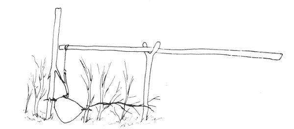snare 0054