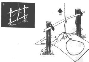 snare 0057