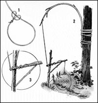 snare 0060