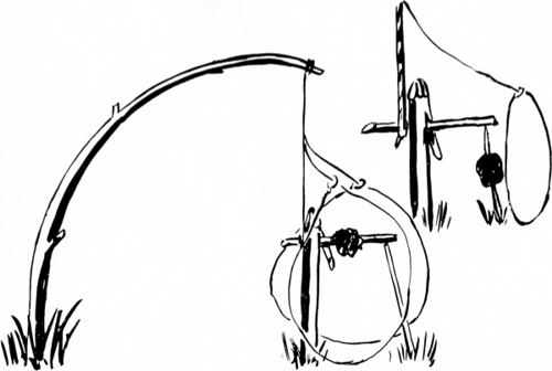 snare 0061
