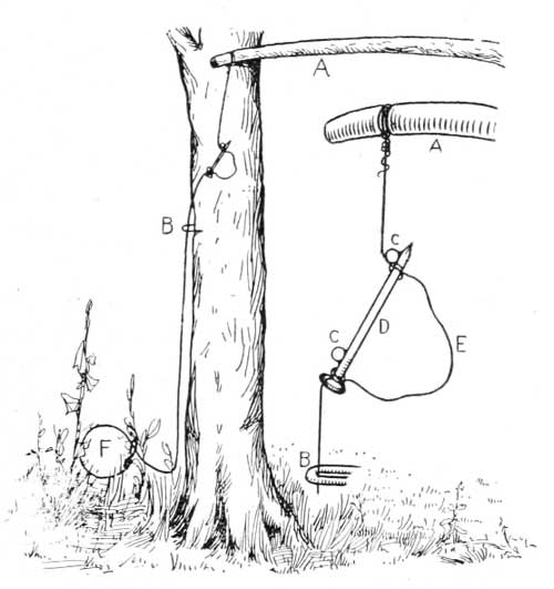 snare 0063