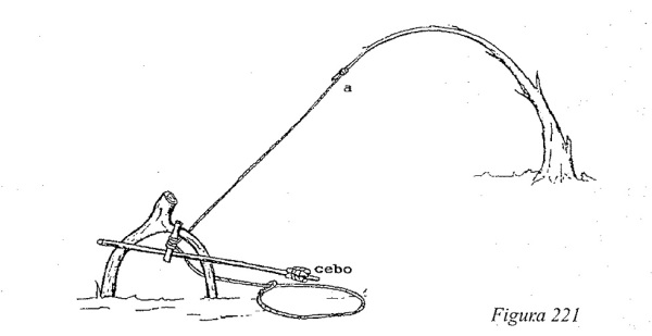 snare 0066