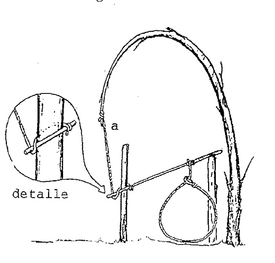 snare 0067