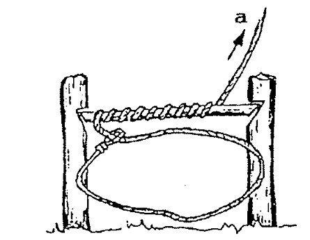 snare 0068