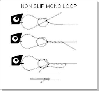 aparejo Mono loop