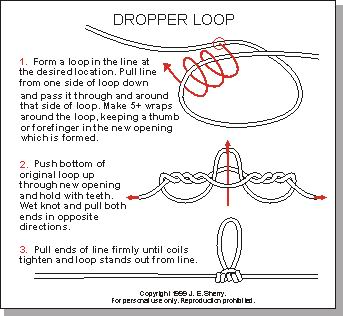 lazo Dropper1