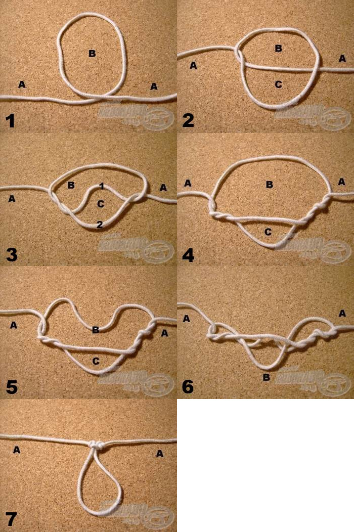 loop bz