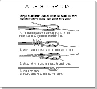 union Allbright
