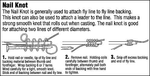 union nail