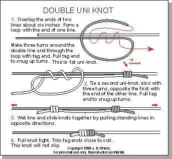 union-UNI doble