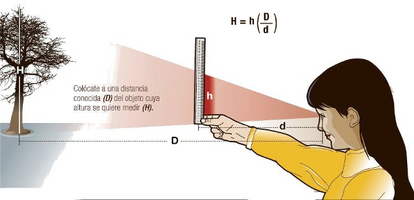 orientacion medir altura1