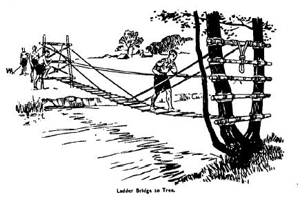 bridge ladder