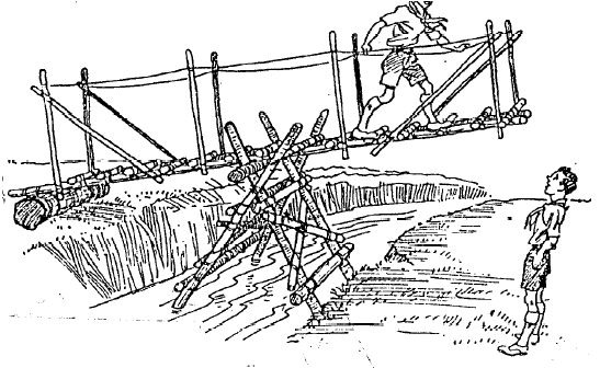 bridge pivot