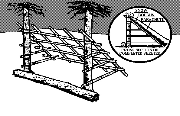 shelter leanto 0003