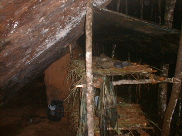 shelter selva 0003