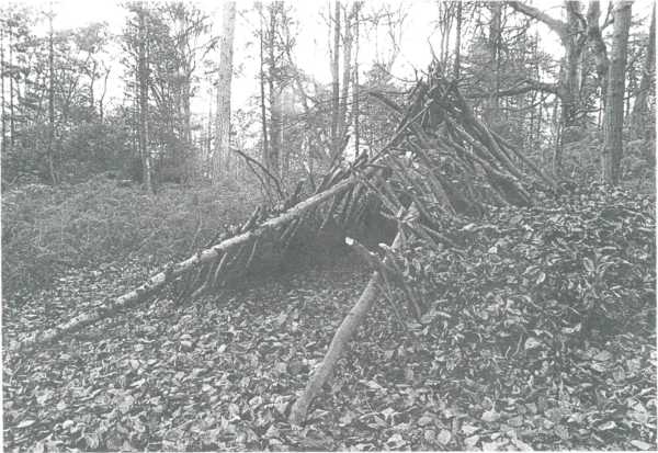 shelter tripod 0004