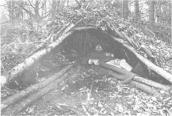 shelter tripod 0005