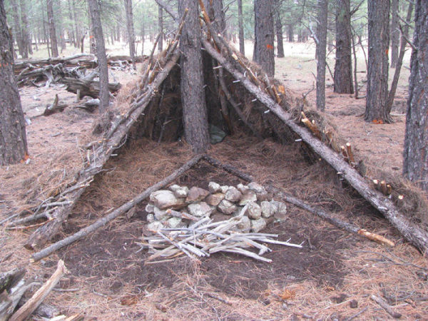 shelter tripod 0006
